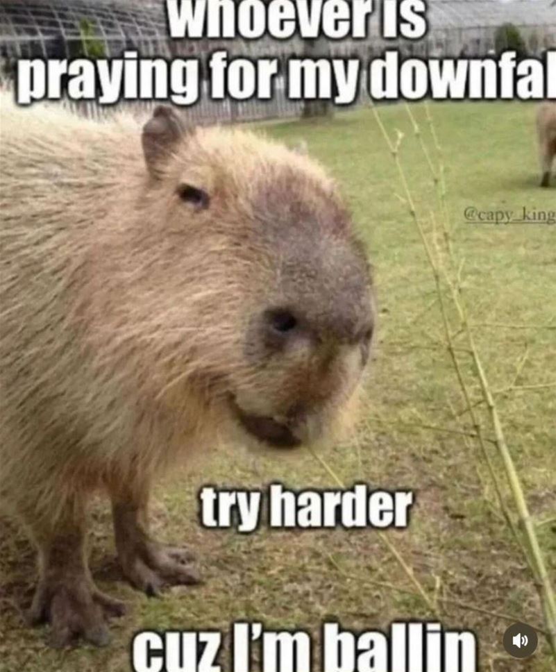 Whoever Is Prayin