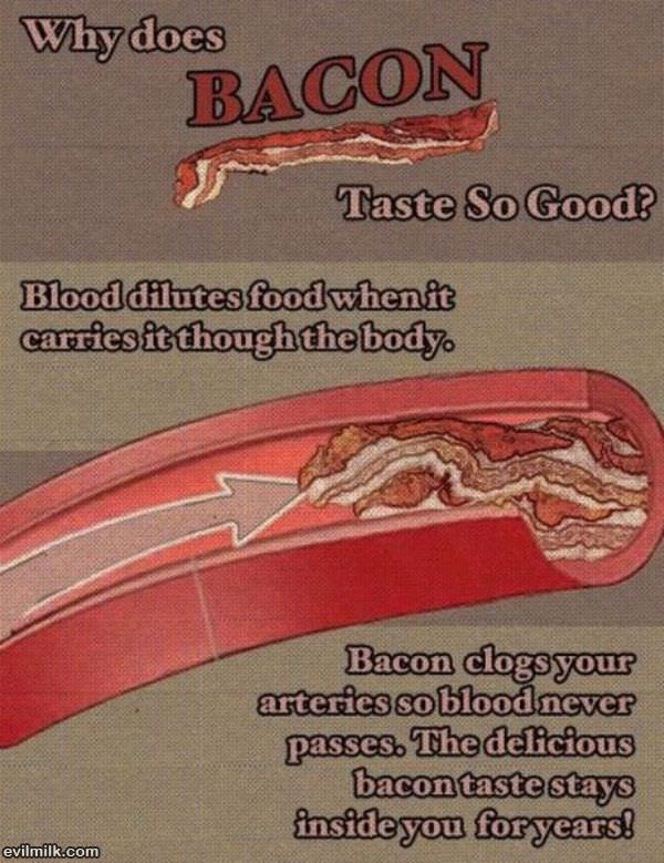 Why Is Bacon So Good