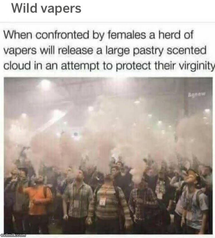 Wild Vapers