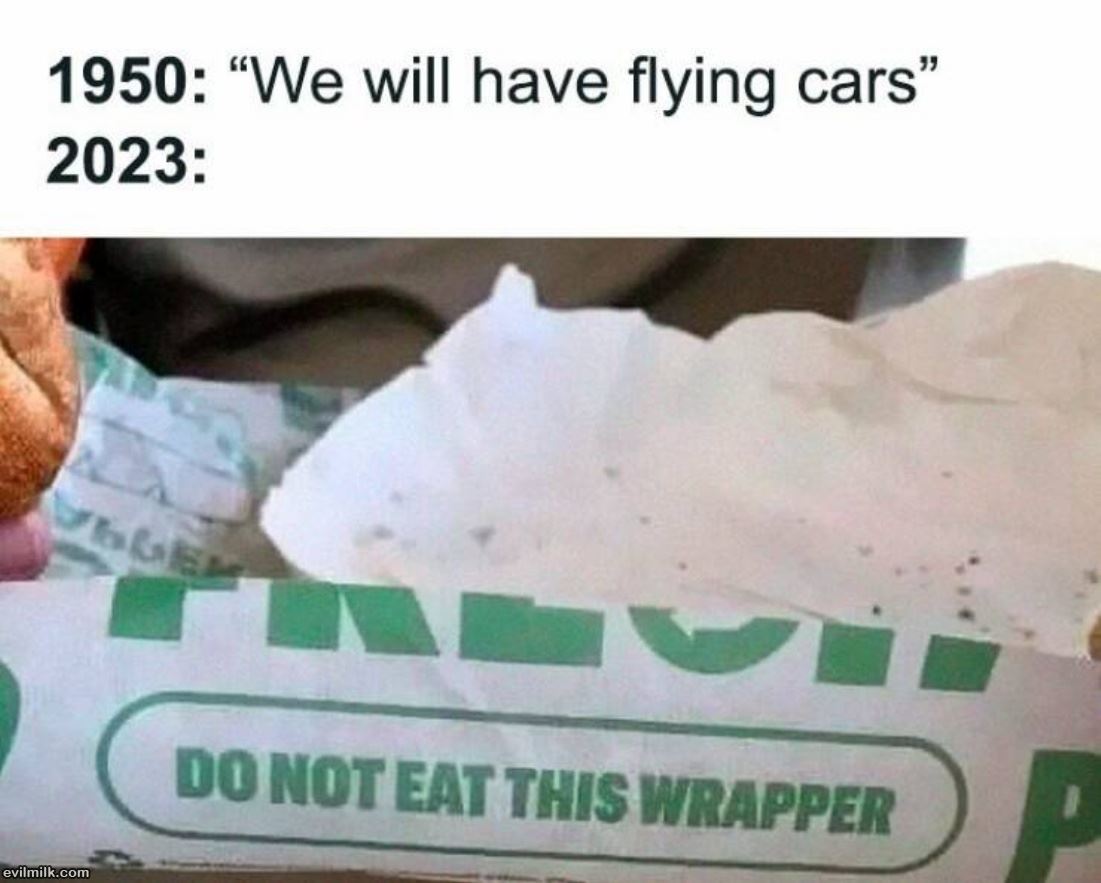 Will Have Flying Cars