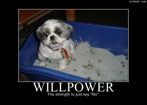 Willpower