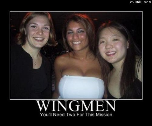 Wingmen