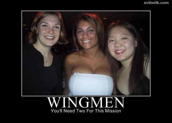 Wingmen