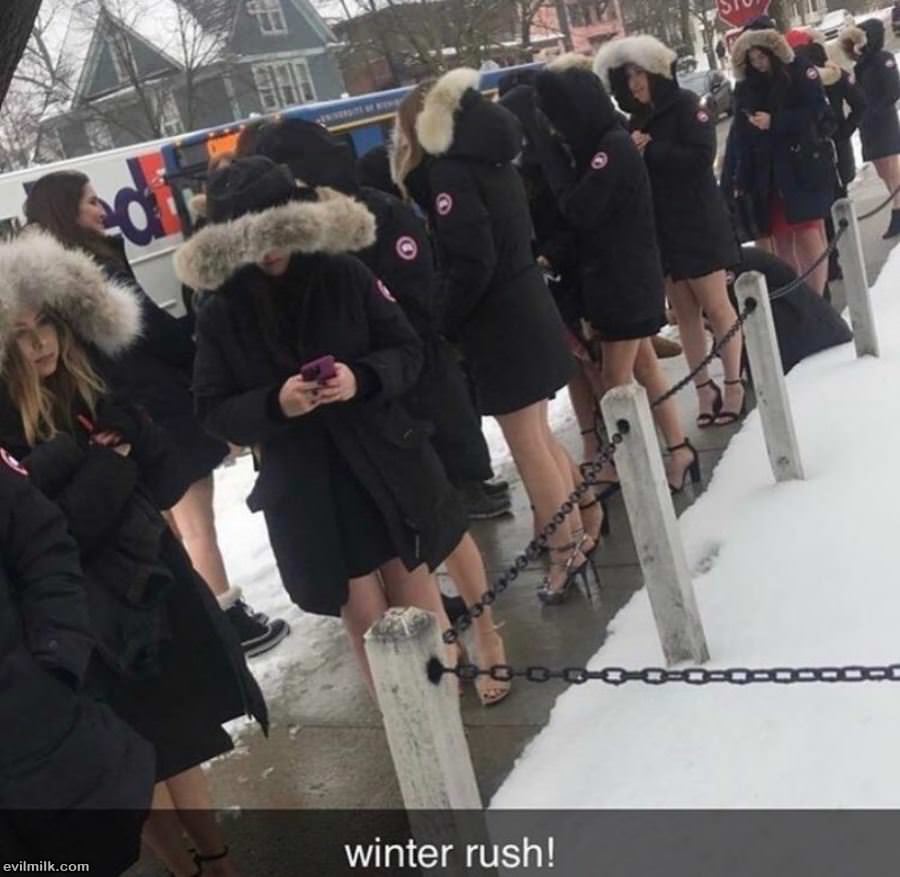 Winter Rush