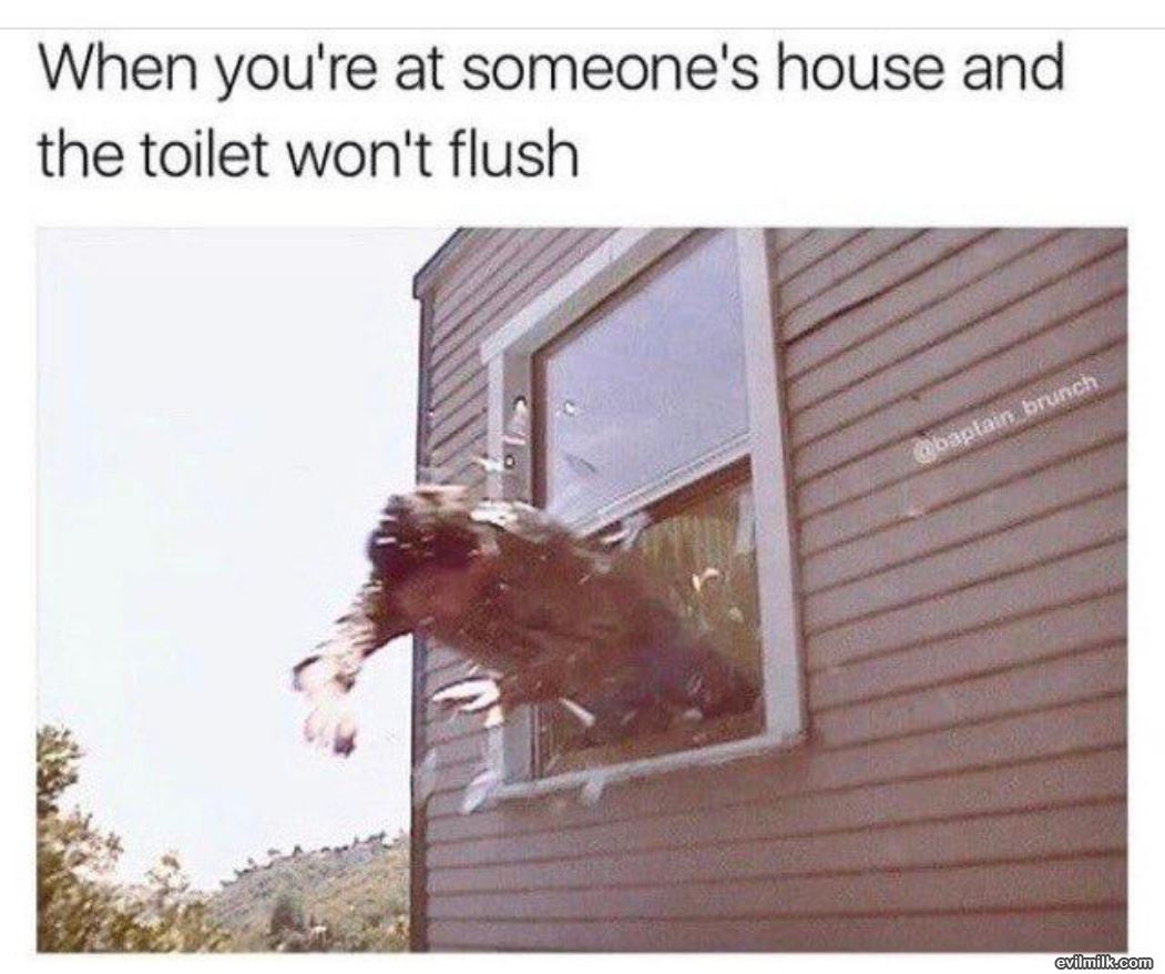 Wont Flush