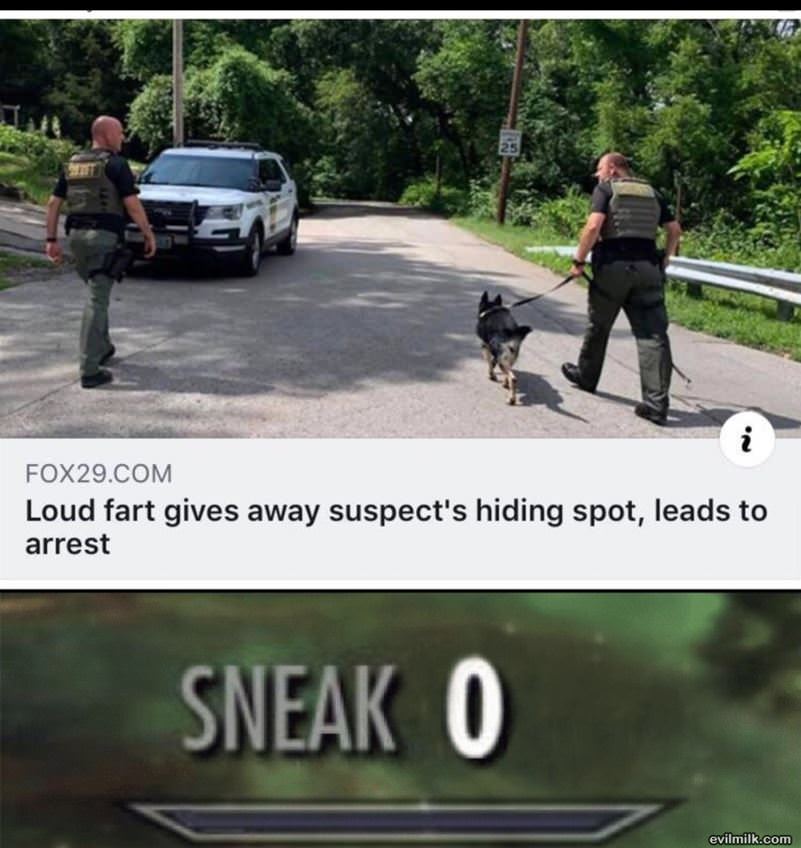 Work On The Sneak