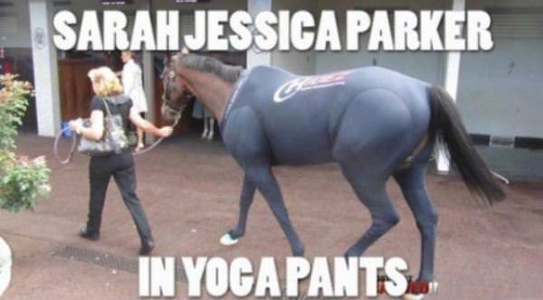 Yoga Pants