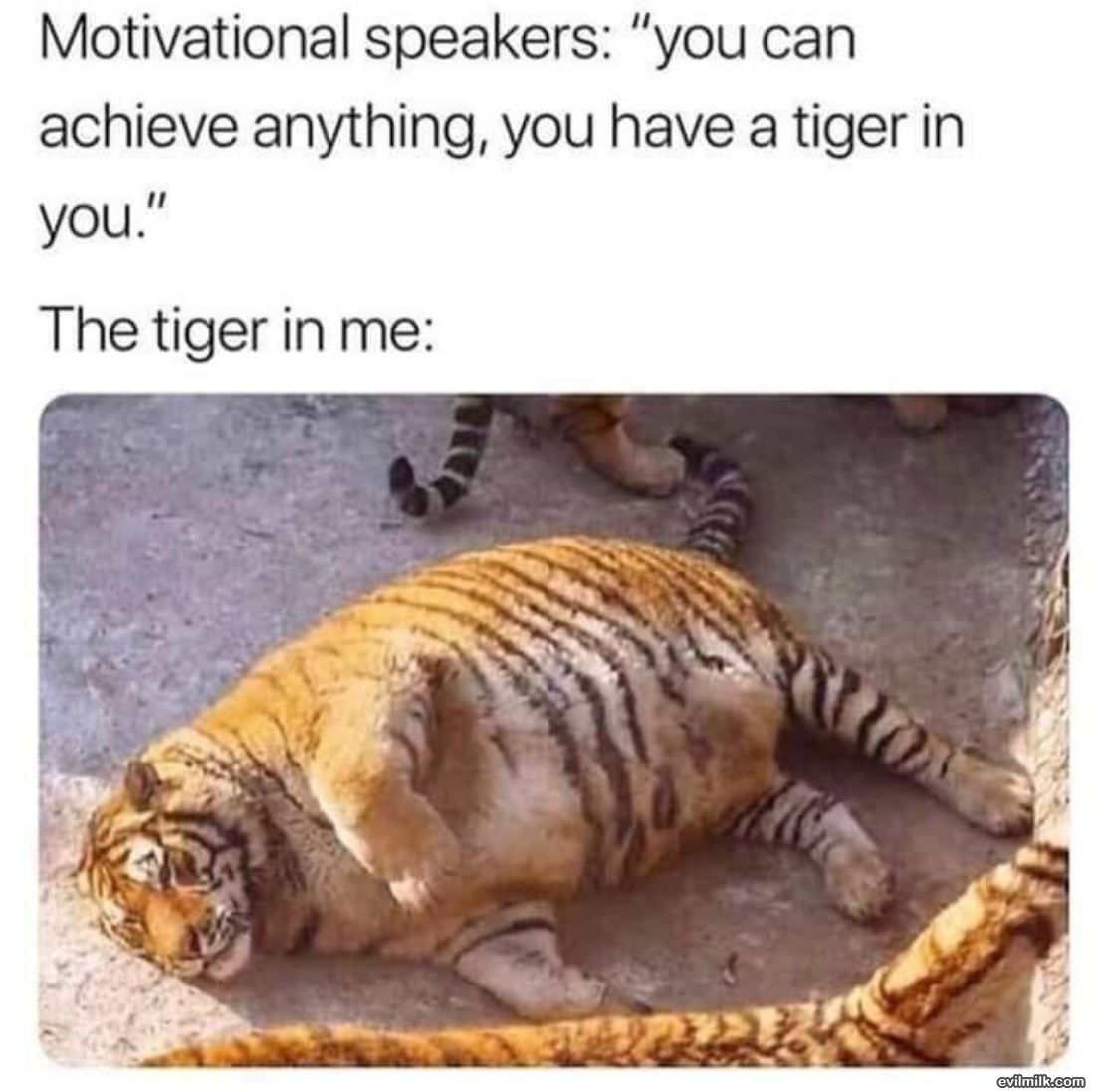 You Are A Tiger