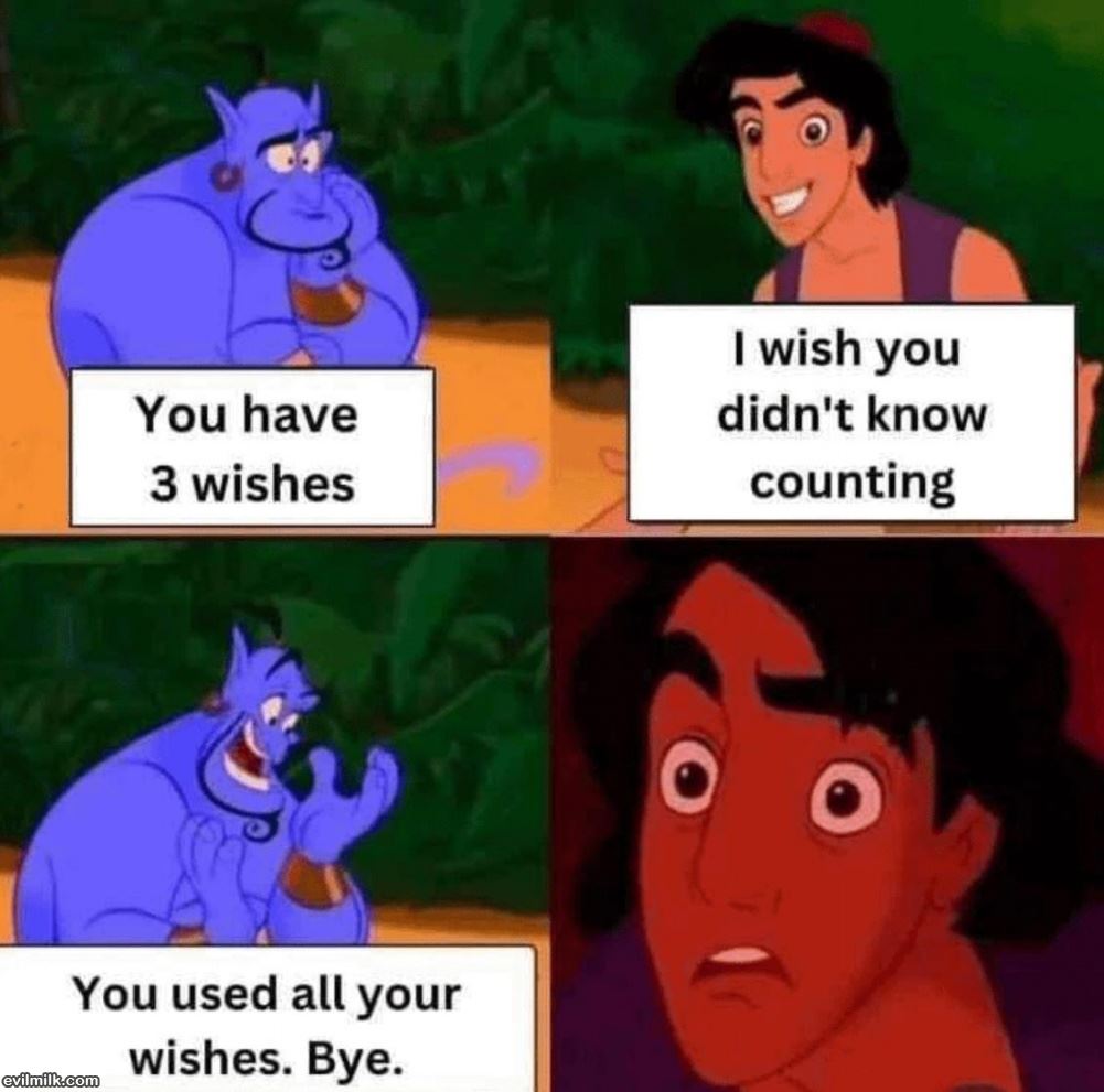 You Have 3 Wishes