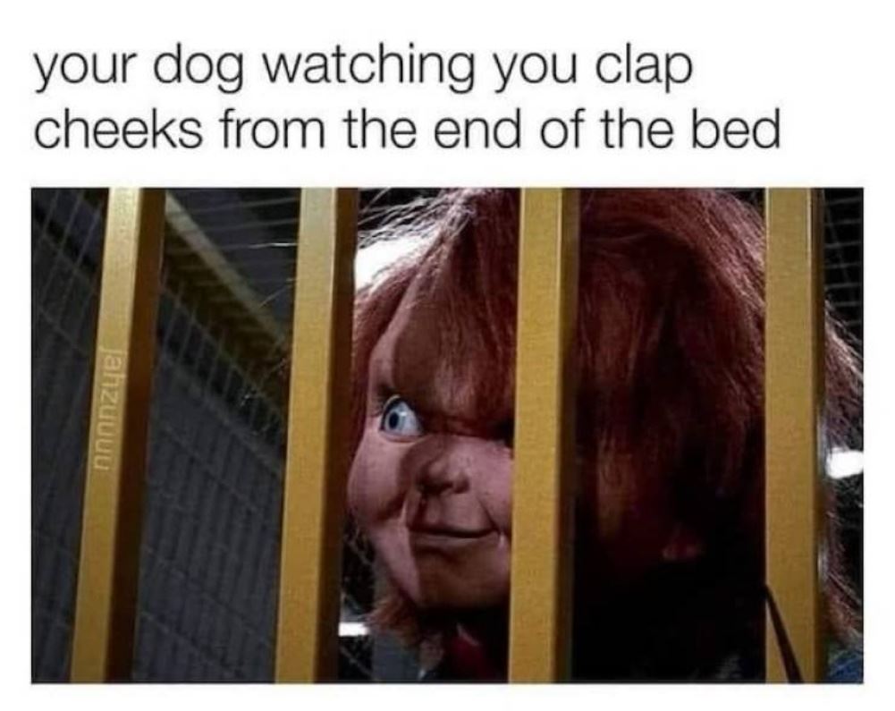 Your Dog Watching You