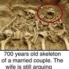 700 Years Old