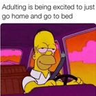 Adulting