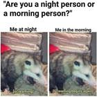 Are You A Morning Or Night Person