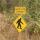 Avoid Eye Contact