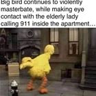 Big Bird Gone Wild