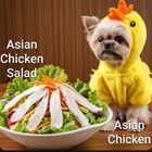 Chicken Salad