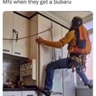 Damn Subaru