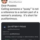 Dear Pussies