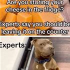 Expert Advice