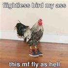 Flightless