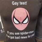 Gay Test