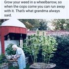 Grandma Always Thinking