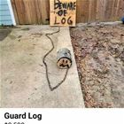 Guard Log