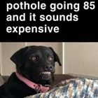 Hit That Pothole