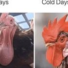 Hot Days And Cold Days