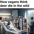 How Vegans Think