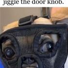 Jiggling The Doorknob