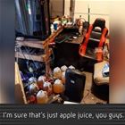 Just Apple Juice