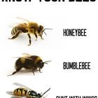 Know Your Bees