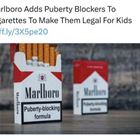 Legal For Kids Now