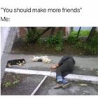 Make More Friends