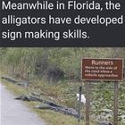 Meanwhile In Florida