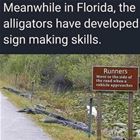 Meanwhile In Florida