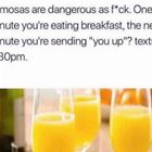 Mimosas Are Dangerous