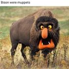 Muppet Bison