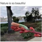 Nature Is Beautiful