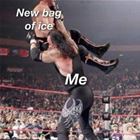 New Bag Of Ice