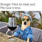 Nice To Meet You