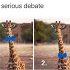 Ok Serious Debate
