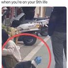 On Your 9th Life