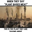 Plant Based Meat