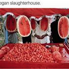 Slaughterhouse