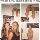 Studied Abroad