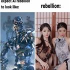 The Ai Rebelion