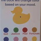 The Color Changing Duck