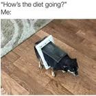 The Diet